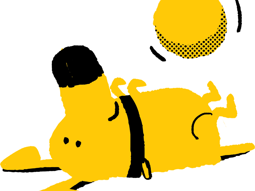 An illustration of a yellow dog lying on its back playing with a ball