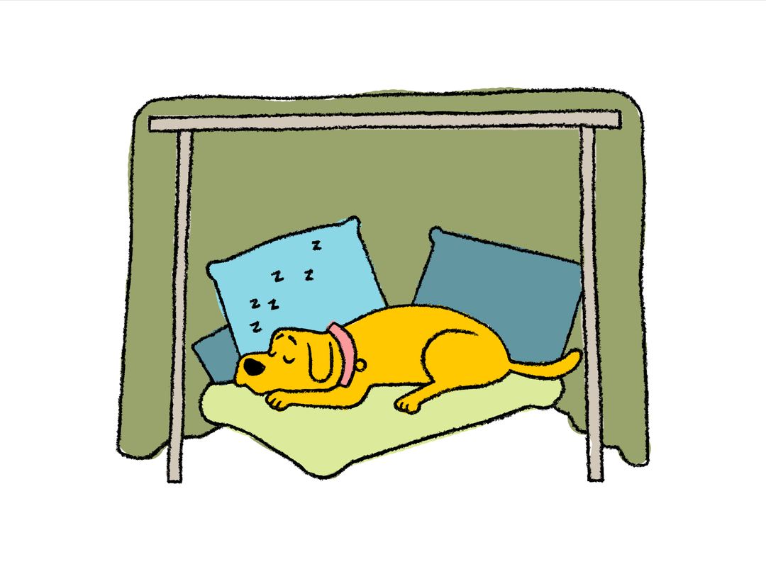 creating a safe space for your dog