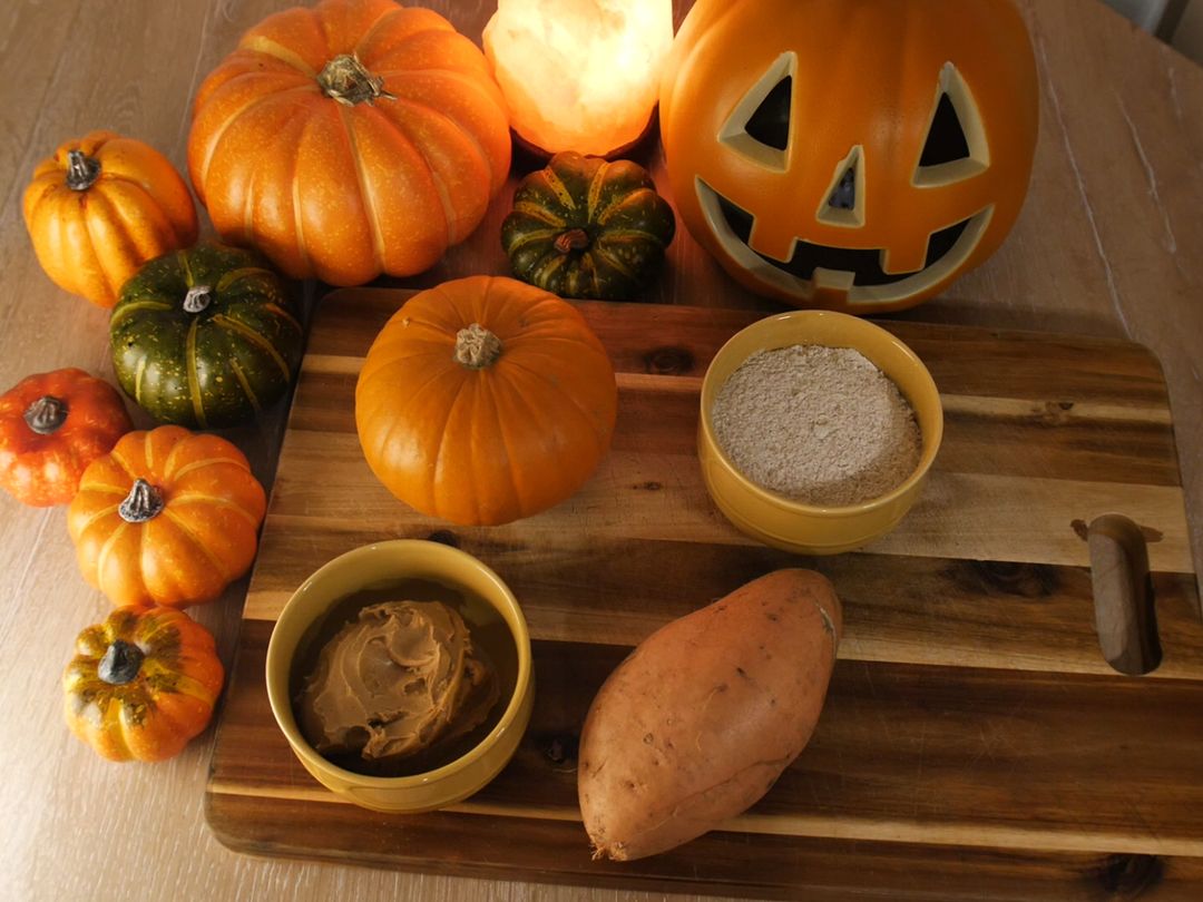 Halloween pumpkin spice recipe for dogs