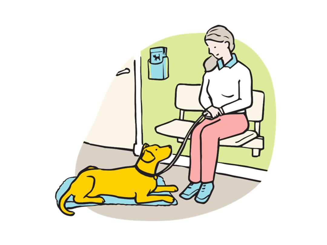 Illustration of dog sitting on floor in vets waiting room with owner.