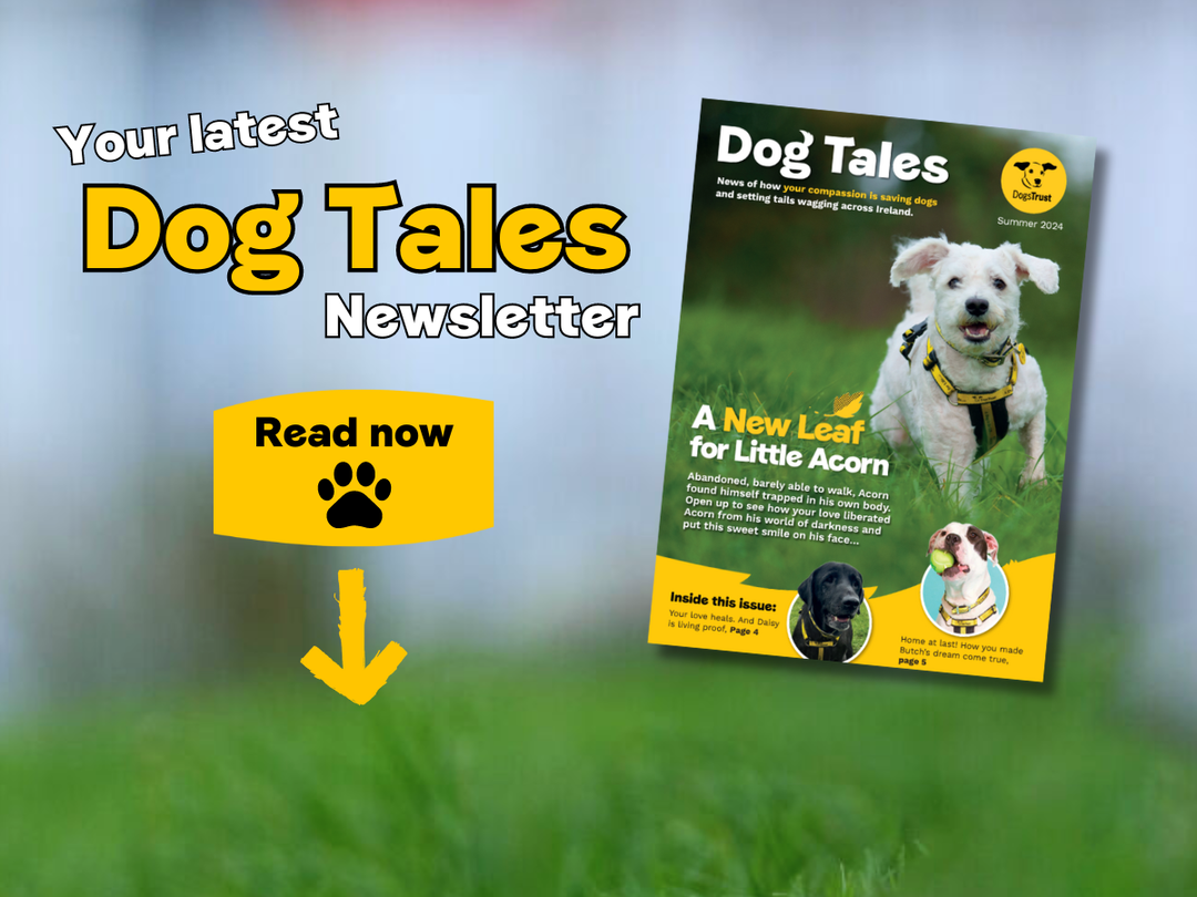 Your latest Dog Tales cover image
