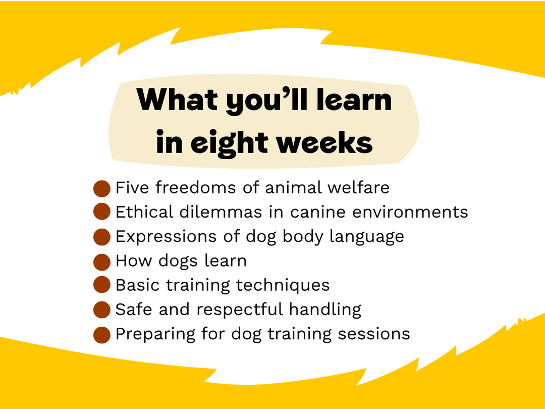 an image with text saying "What you'll learn in 8-weeks: Fiver freedoms of animal welfare, Ethical dilemmas in canine environments, Expressions of dog body language, How dogs learn, Basic training techniques, Safe and respectful handling, Preparing for dog training sessions.