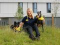 Regional Rehoming Manager