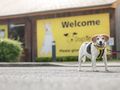 Rehoming Centre Manager