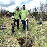 Volunteers planting trees