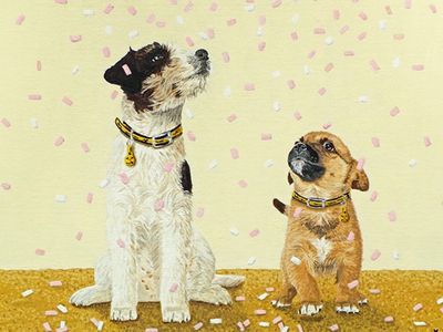Confetti dog wedding favours card