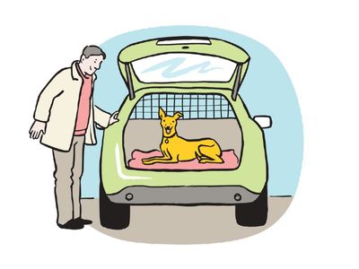 illustration dog in boot car