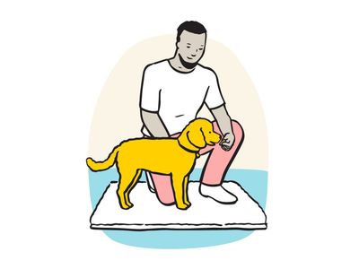 Illustration of owner giving dog treat on matt.