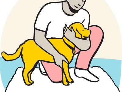 Illustration of how to restrain a dogs head and hold out their leg for examinations. 