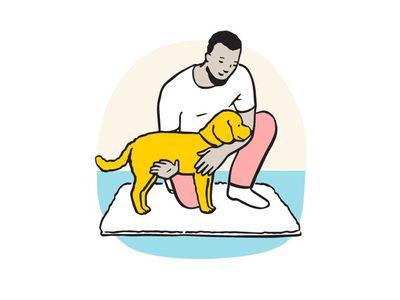 Illustration of how to position hands when picking a dog off the floor.