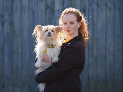 Canine carer holding dog in arms