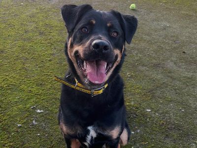 random acts of kindness