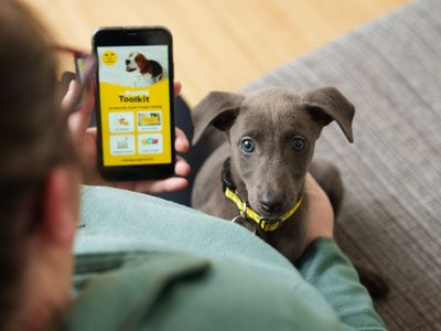 Dogs Trust Launch Their First Digital Training Platform 