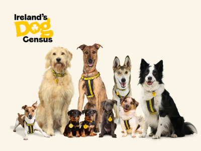 Ireland's Dog Census 2025