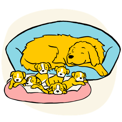 illustration of a sleeping dog with her litter of puppies