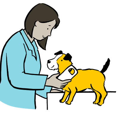 illustration of a vet examining a puppy