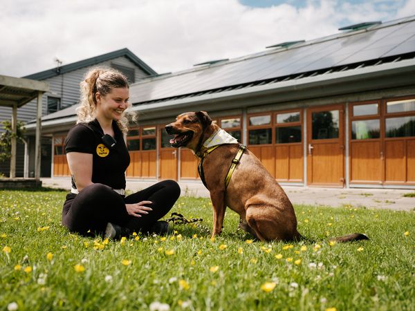 Canine carer sits on the grass with a brown dag in front of building with solar panels