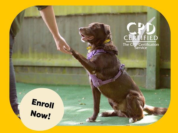 An image of a dog giving the paw with with the CPD certificate sticker to the top right and and "Enrol Now!" circular logo