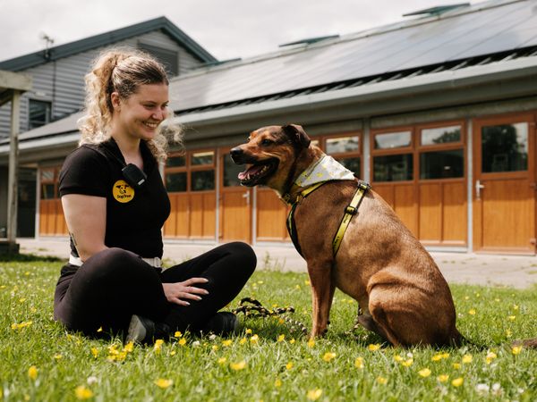 Dog Welfare Assistant Emma sits on grass next to Benny, a brown crossbreed, in front of the Dublin Rehoming Centre
