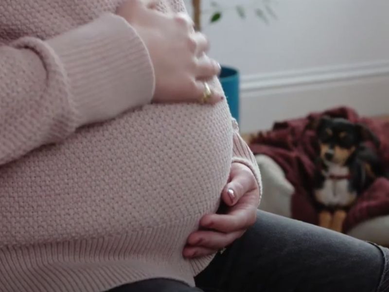 A dog looking up at a baby bump 