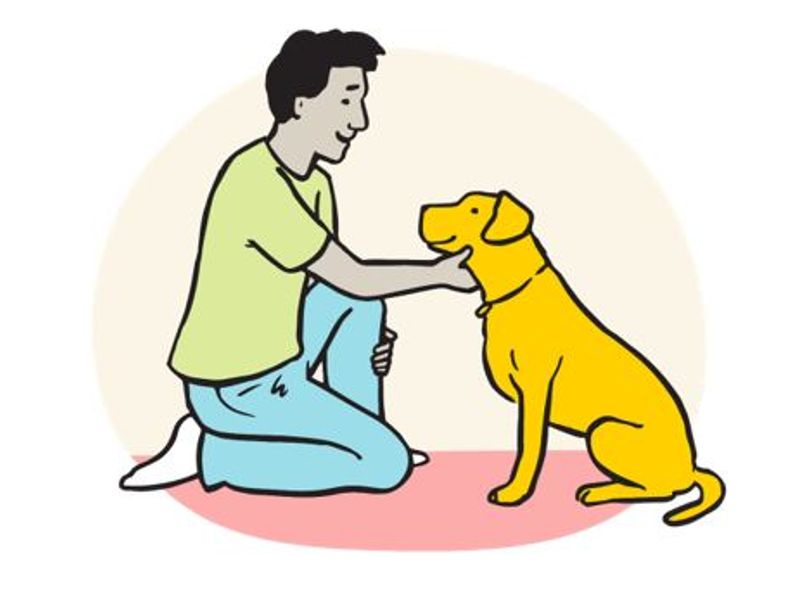 Cartoon owner holding dog head