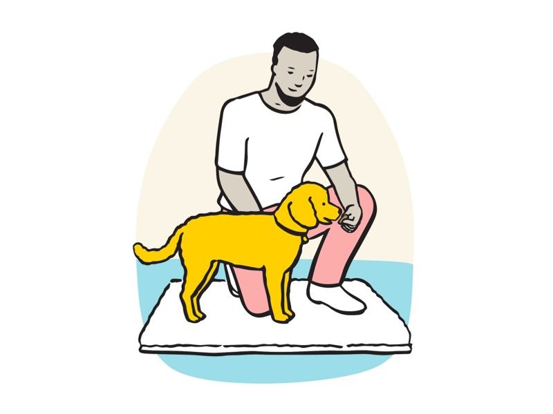 Illustration of owner giving dog treat on matt.