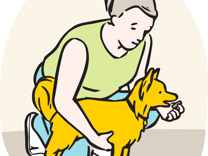 Illustration of owner holding small dog on floor whilst giving a treat. 