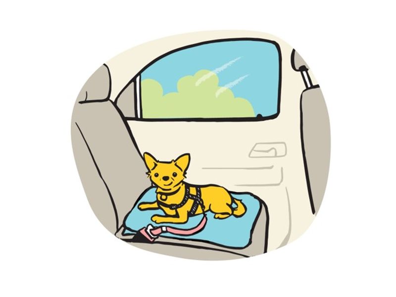 Illustration of small dog sitting in back seat of car safely.