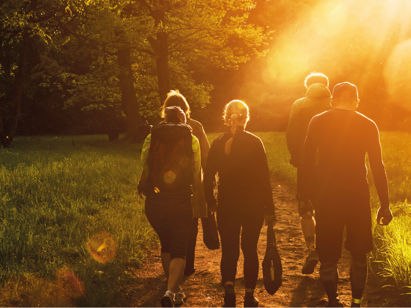 A group of people walking in the forest at sunset