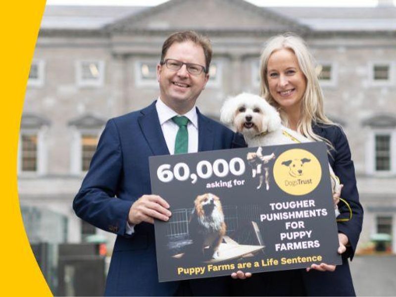 Dogs Trust and Chair of the Joint Oireachtas Committee on Justice holding sign showing signatures on puppy farming petition