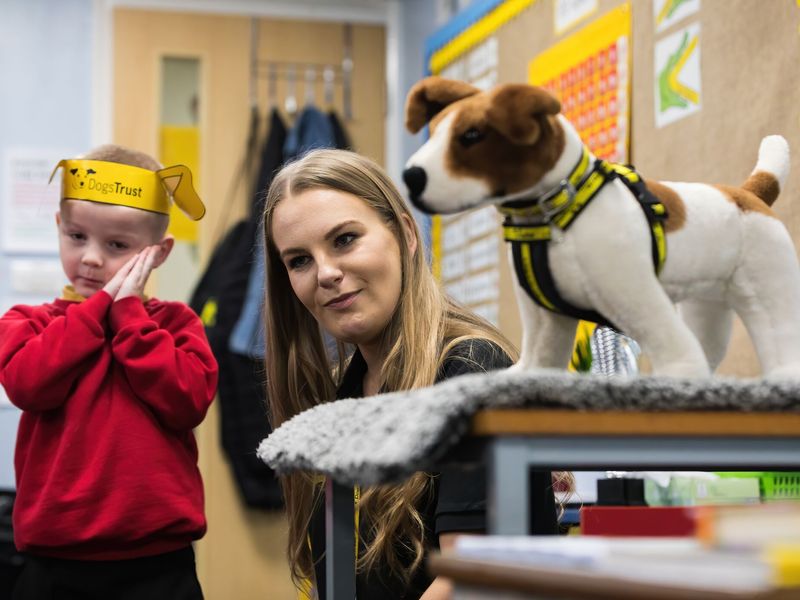 Education officer interacting with school children in a classroom and teaching them about how to interact with dogs in a safe manner.