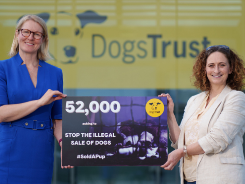 Two people holding a sign that reads '52,000 asking to stop the illegal sale of dogs'