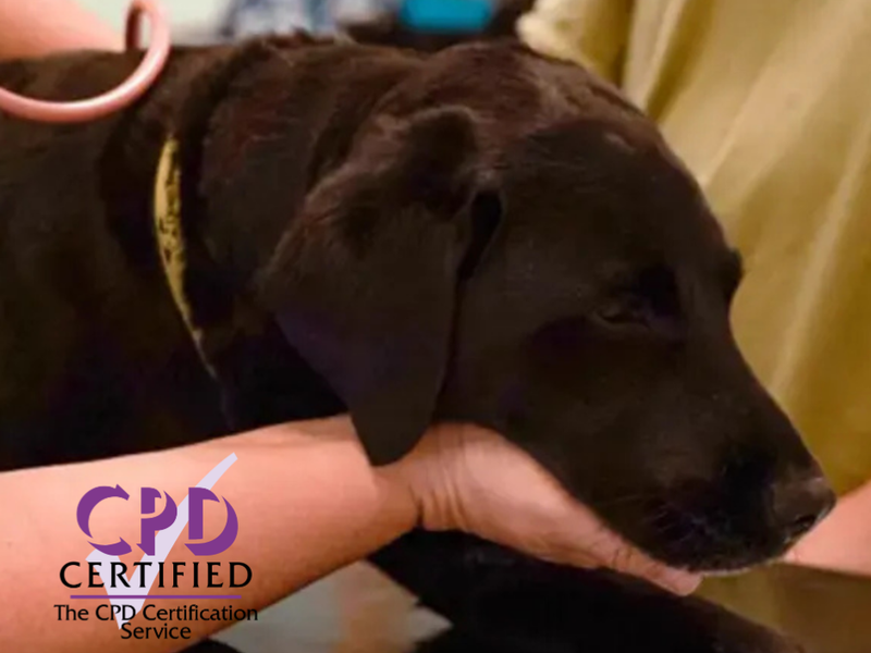 CDP with CPD logo