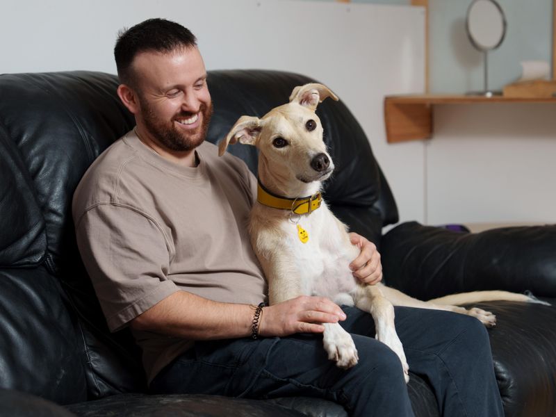 A man sitting on a couch with a tan coloured Lurcher laying on his lap looking at the camera